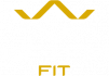 logo-metem-light
